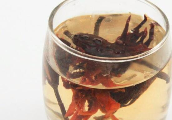 玉兰花茶的功效与作用