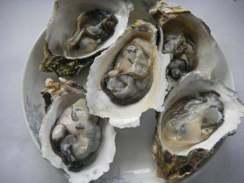 蒜蓉生蚝的做法步骤3
