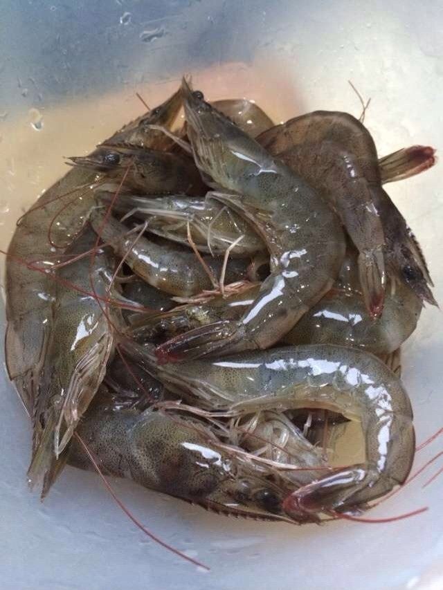 鲜虾豆腐的做法步骤1