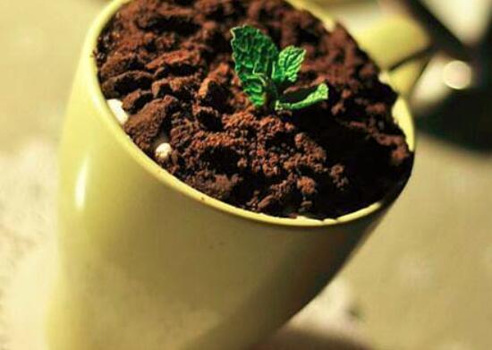 盆栽奶茶的做法